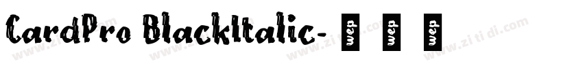 CardPro BlackItalic字体转换